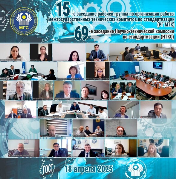 experti sng